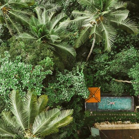 The Nest In Ubud, Bembengan Cottage エクステリア 写真