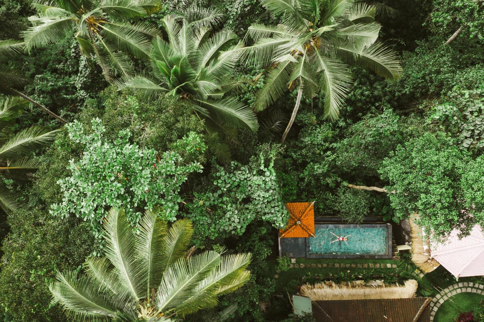 The Nest In Ubud, Bembengan Cottage エクステリア 写真