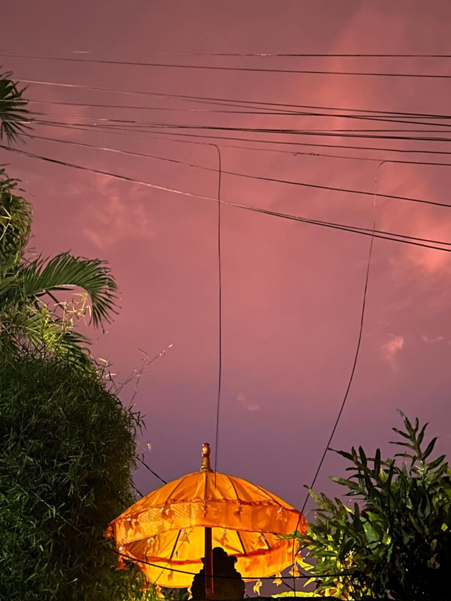 The Nest In Ubud, Bembengan Cottage エクステリア 写真